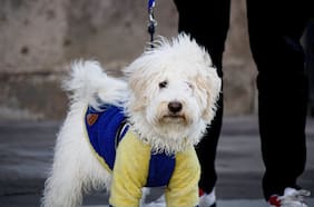 Hasta 3 °C: los sectores de la Región Metropolitana que tendrán las mañanas más frías del año