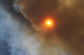 Incendio forestal en Lolol: Conaf sigue combatiendo las llamas y cifra en 732 las hectáreas afectadas