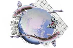 La Luna llena en Piscis nos invitará a hacernos cargo de nuestras emociones