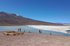 Cómo era el Desierto de Atacama hace 230 millones de años, según un inédito hallazgo científico