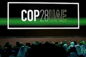 Columna de Marcelo Mena: Más que nunca, pero menos de lo necesario