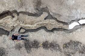 Descubren restos de un “dragón marino” en Reino Unido