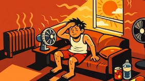 Verano caluroso: cómo enfriar tu casa o departamento si no tienes aire acondicionado