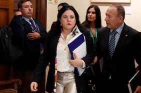 El lío que se generó en el Senado entre Hacienda y Seguridad por el proyecto de Subsistema de Inteligencia Económica