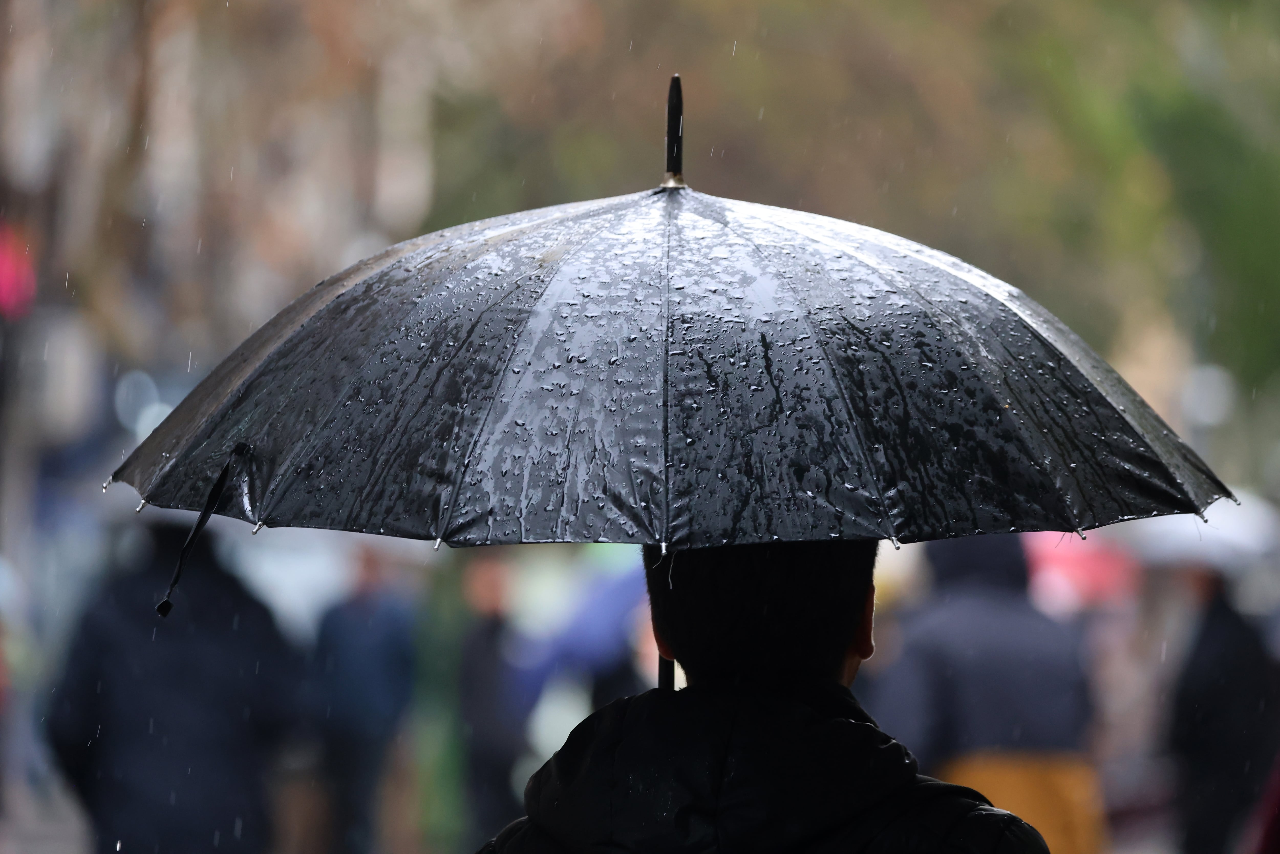Temporal deja 105 viviendas afectadas en Concepción tras cerca de 50 mm de lluvia