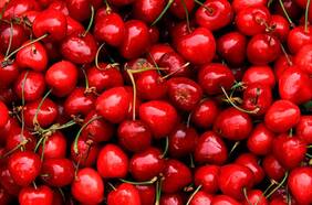 Frutas de Chile advierte que recorte presupuestario al SAG tendría un impacto en la economía del país