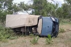 Mujer de 80 años muere tras ser atacada por un elefante en un safari