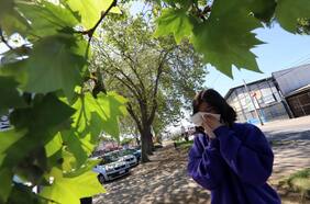 Alergias primaverales en su peak: ¿Funcionan realmente los antihistamínicos?