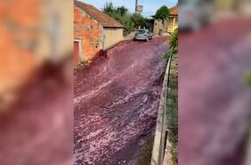 Dos millones de litros de vino tinto inundan las calles de un pueblo en Portugal