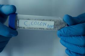 ¿Realmente era judío? Científicos cuestionan teoría sobre el origen de Cristóbal Colón a partir de su ADN