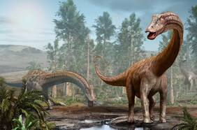 Proyecto científico busca consolidar definitivamente a Aysén como el gran parque jurásico nacional