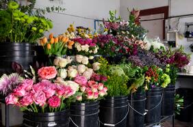 Así ha variado el precio de las flores previo a celebración del Día de Todos los Santos