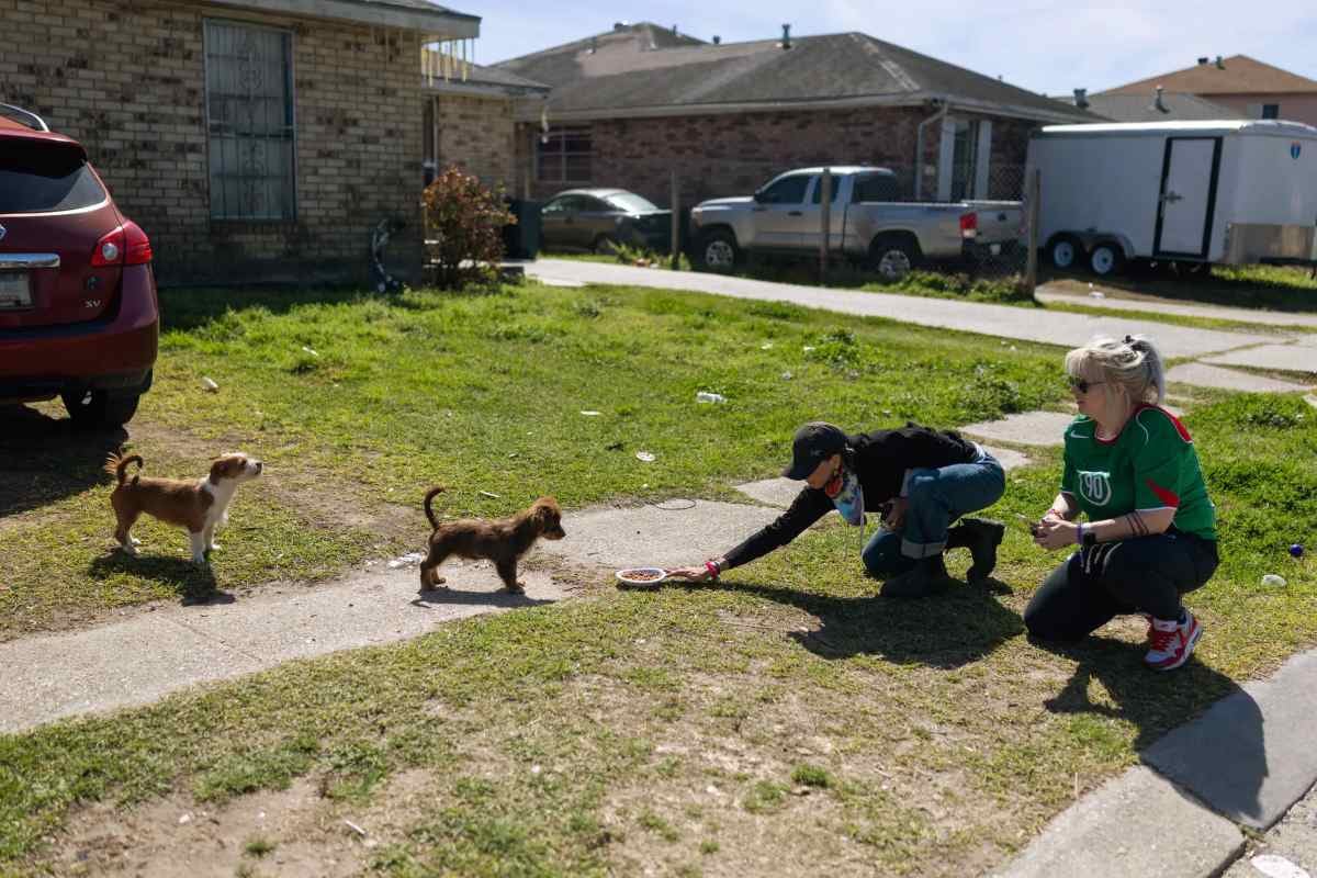 Qué pasa con las mascotas que quedan solas, tras las deportaciones masivas en Estados Unidos. Foto: NYT.