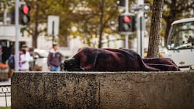 Prolongan Código Azul en la Región Metropolitana y se extiende a nuevas zonas por bajas temperaturas