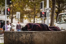 Prolongan Código Azul en la Región Metropolitana y se extiende a nuevas zonas por bajas temperaturas