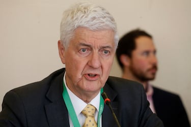 Qué dijo Etcheberry y el SII sobre las contribuciones