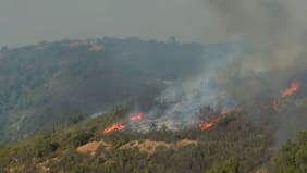 Bomberos y Conaf combaten incendio en cerros de Viña del Mar