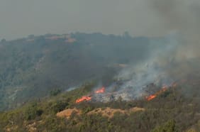 Incendios forestales en Región de Valparaíso: evacuan sectores de Limache y Concón y combaten llamas en Viña del Mar