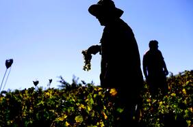 Desafíos y oportunidades del agro