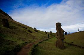 Se cubrió de verde: el sorprendente y esperanzador presente de Isla de Pascua
