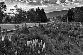 #ChileLindo: el registro de nuestros lectores