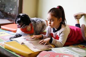 Patas y Letras: cuando un perro transforma la vida de un niño