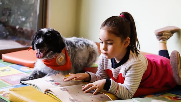 Patas y Letras: cuando un perro transforma la vida de un niño