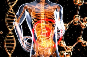 El cromosoma Y está desapareciendo: un nuevo gen sexual puede ser el futuro de los hombres