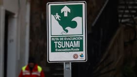 SHOA descarta tsunami en costas de Chile tras sismo percibido en el mar antártico