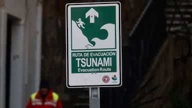 SHOA descarta tsunami en Chile tras terremoto 7.6 en Japón