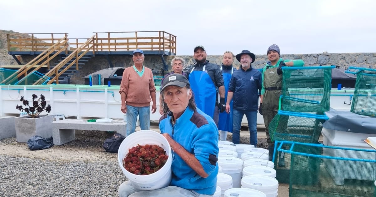 Universidades chilenas lideran sostenibilidad en América Latina: un triunfo con matices y desafíos pendientes