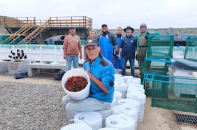 Según THE Impact 2025: Universidades chilenas lideran ranking de sostenibilidad en América Latina