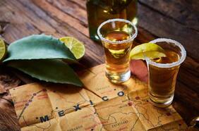Tequila vs. mezcal: primos hermanos
