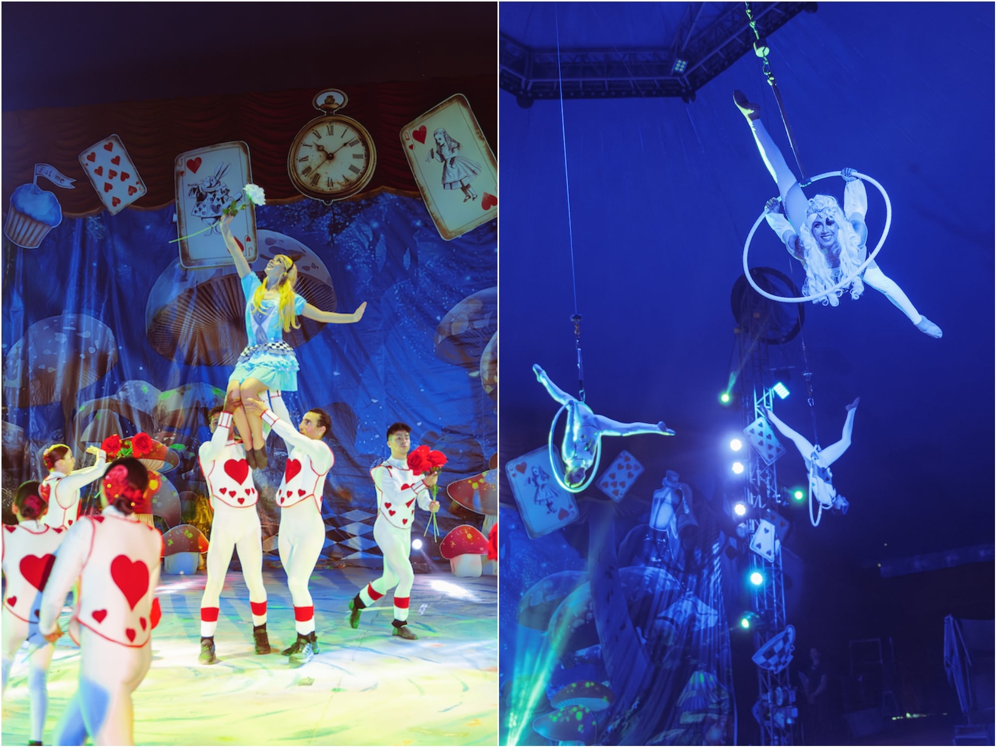 Alicia Wonderland Experience: el panorama familiar que combina circo, teatro, danza y actividades interactivas