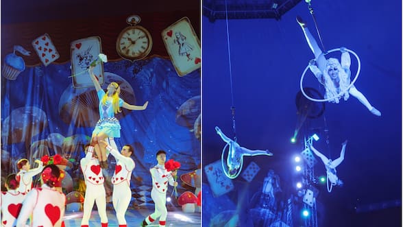 Alicia Wonderland Experience: el panorama familiar que combina circo, teatro, danza y actividades interactivas