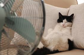 No más sueños húmedos: consejos y productos para dormir bien cuando hace calor