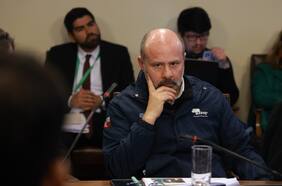 Christian Little: el incendio que acecha al director de Conaf