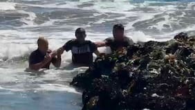 Asaltante se lanzó al mar para evitar detención en Iquique: debió ser rescatado del oleaje por carabineros