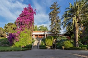 Viña Santa Rita reporta pérdidas por casi $6 mil millones en medio de caída global de consumo de vino