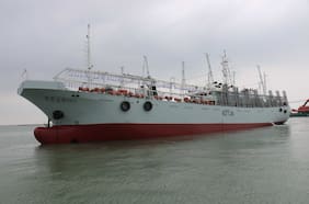 Pesquera china es denunciada por operar ilegalmente en mar chileno: fue descubierta mediante imágenes satelitales