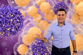 Un virus podría convertirse en un prometedor tratamiento contra el cáncer