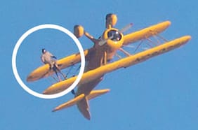 La nueva locura de Tom Cruise para Misión Imposible: Colgarse de un viejo avión que hace acrobacias