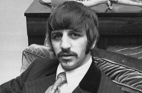 Ringo: a la sombra en el jardín del pulpo