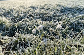 Hasta -2°C: pronostican heladas en tres regiones de la zona sur del país