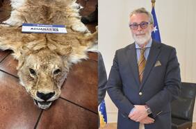 Aduanas descubrió la carga: embajador chileno es investigado por el contrabando de pieles disecadas de animales salvajes