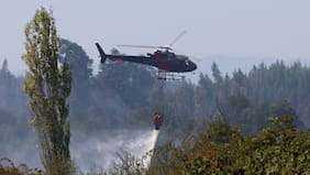 Por altas temperaturas y baja humedad: emiten alerta preventiva por amenaza de incendios forestales en dos regiones del país