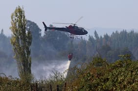 Por altas temperaturas y baja humedad: emiten alerta preventiva por amenaza de incendios forestales en dos regiones del país