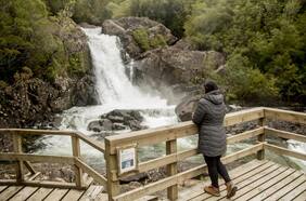 Parque Nacional Alerce Andino: nueva infraestructura sustentable y una app que guía y educa a los visitantes