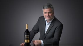 Trivento, la filial argentina de Concha y Toro, aspira a liderar exportaciones de vino de ese país