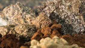 Tierras raras: la nueva frontera que está explorando la minería chilena